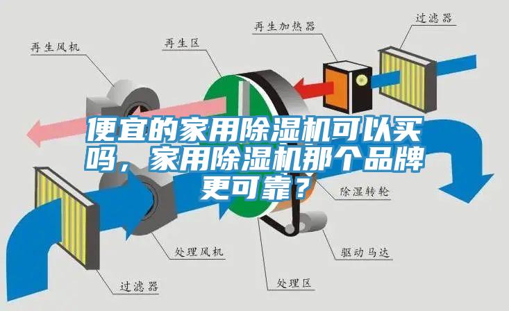 便宜的家用猫咪成人官网可以买吗，家用猫咪成人官网那个品牌更可靠？