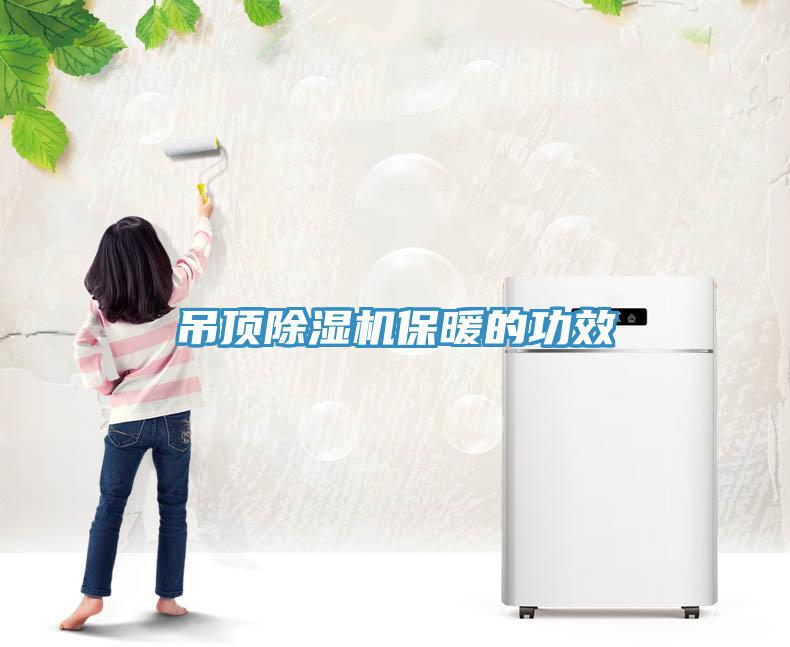 吊顶猫咪成人官网保暖的功效