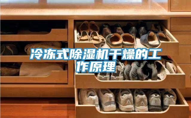 冷冻式猫咪成人官网干燥的工作原理