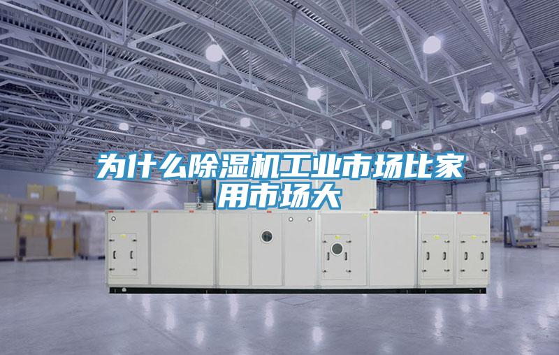 为什么猫咪成人官网工业市场比家用市场大