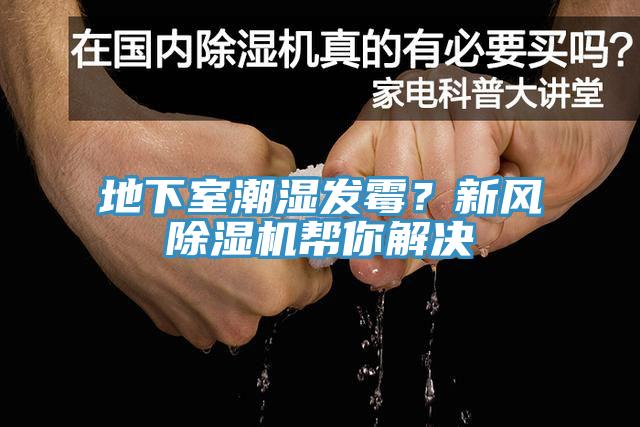 地下室潮湿发霉？新风猫咪成人官网帮你解决