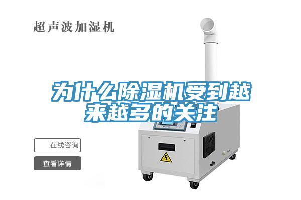 为什么猫咪成人官网受到越来越多的关注