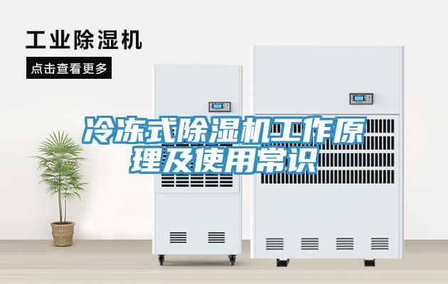 冷冻式猫咪成人官网工作原理及使用常识