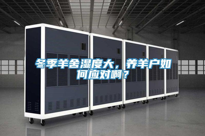 冬季羊舍湿度大，养羊户如何应对啊？