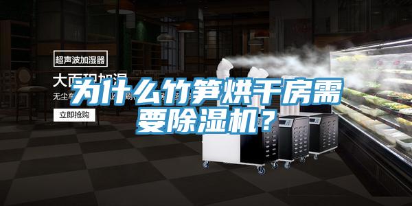 为什么竹笋烘干房需要猫咪成人官网？