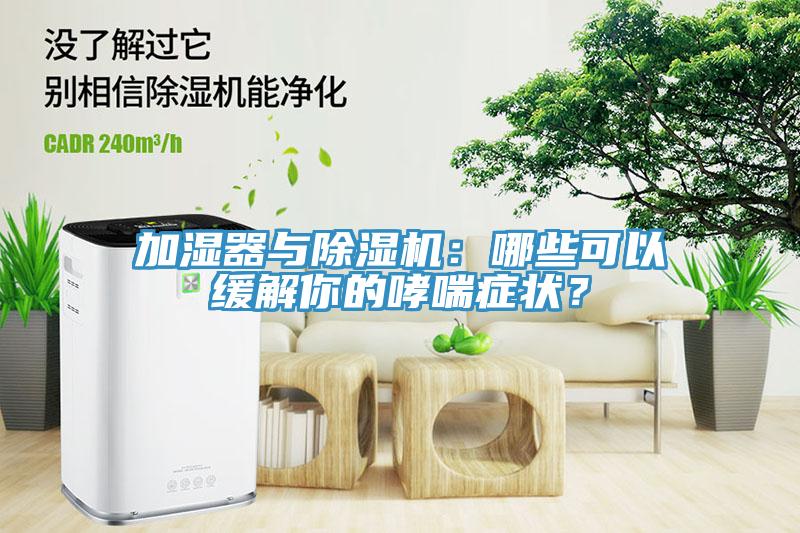 加湿器与猫咪成人官网：哪些可以缓解你的哮喘症状？