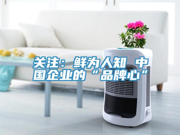 关注：鲜为人知 中国企业的“品牌心”