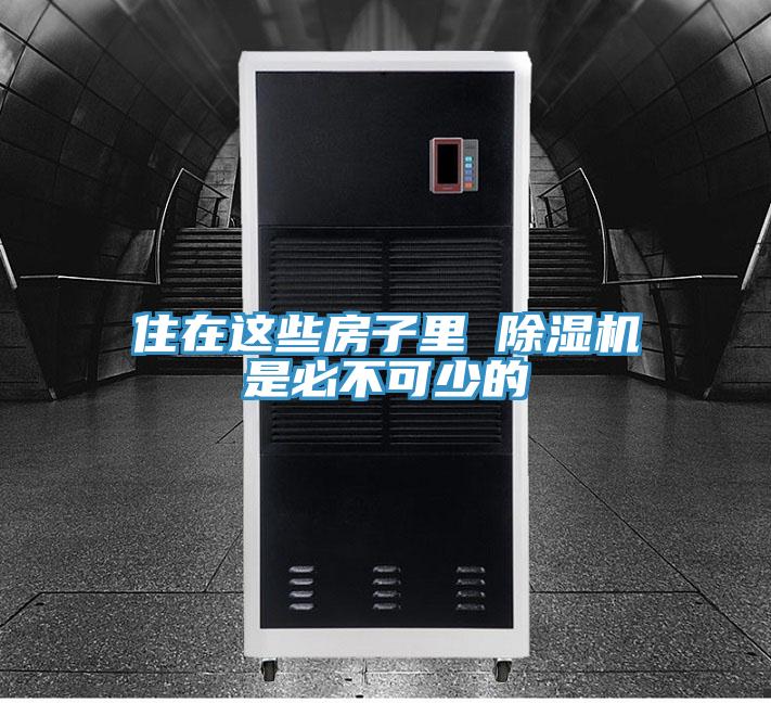 住在这些房子里 猫咪成人官网是必不可少的