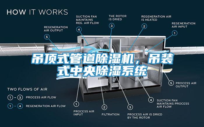 吊顶式管道猫咪成人官网，吊装式中央除湿系统