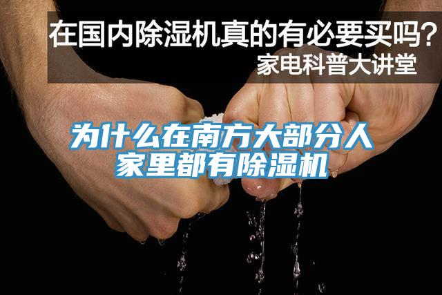 为什么在南方大部分人家里都有猫咪成人官网