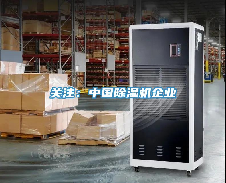 关注：中国猫咪成人官网企业
