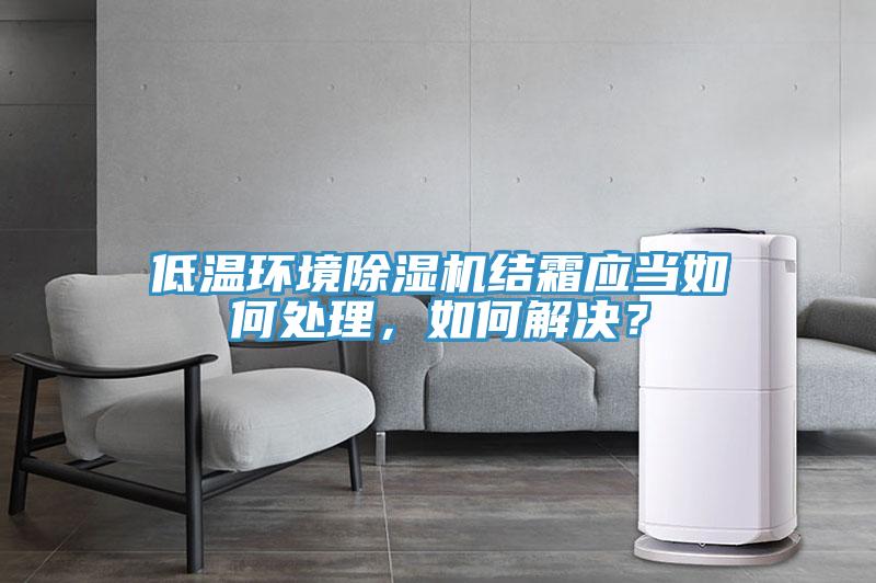 低温环境猫咪成人官网结霜应当如何处理，如何解决？