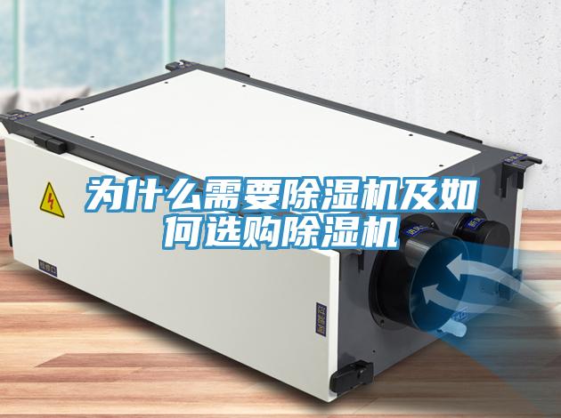 为什么需要猫咪成人官网及如何选购猫咪成人官网