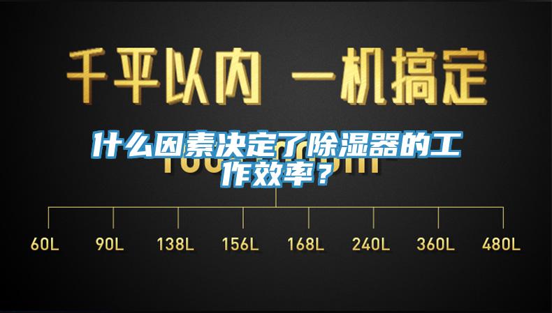 什么因素决定了除湿器的工作效率？