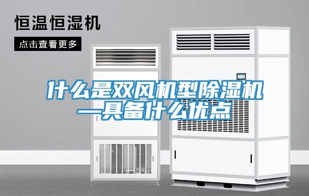 什么是双风机型猫咪成人官网—具备什么优点