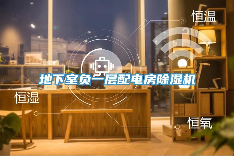 地下室负一层配电房猫咪成人官网
