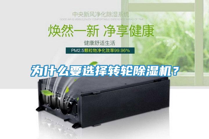 为什么要选择转轮猫咪成人官网？