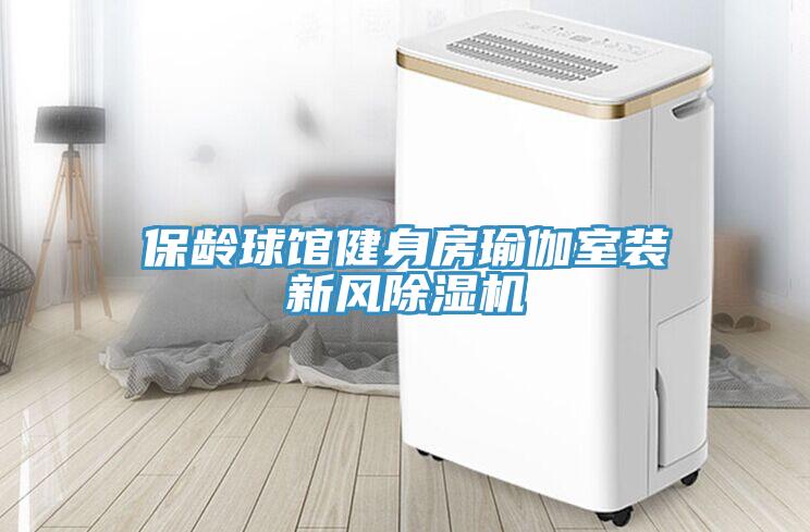 保龄球馆健身房瑜伽室装新风猫咪成人官网