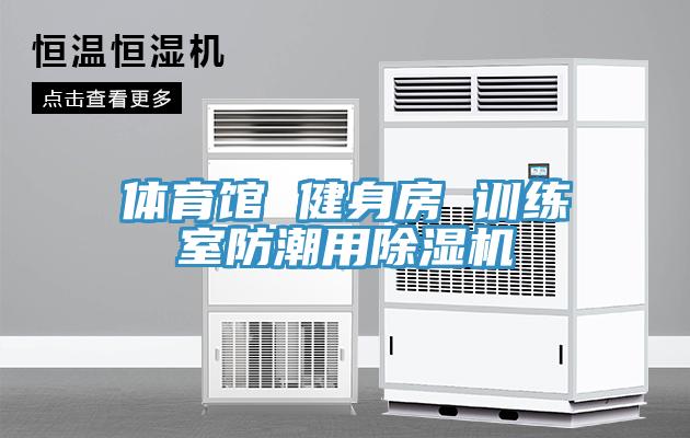 体育馆 健身房 训练室防潮用猫咪成人官网