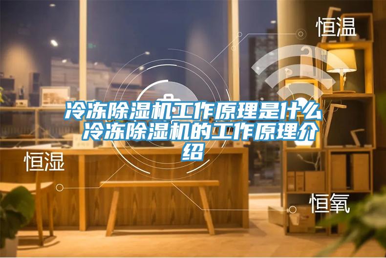 冷冻猫咪成人官网工作原理是什么 冷冻猫咪成人官网的工作原理介绍
