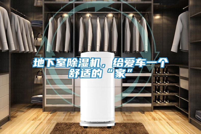 地下室猫咪成人官网，给爱车一个舒适的“家”
