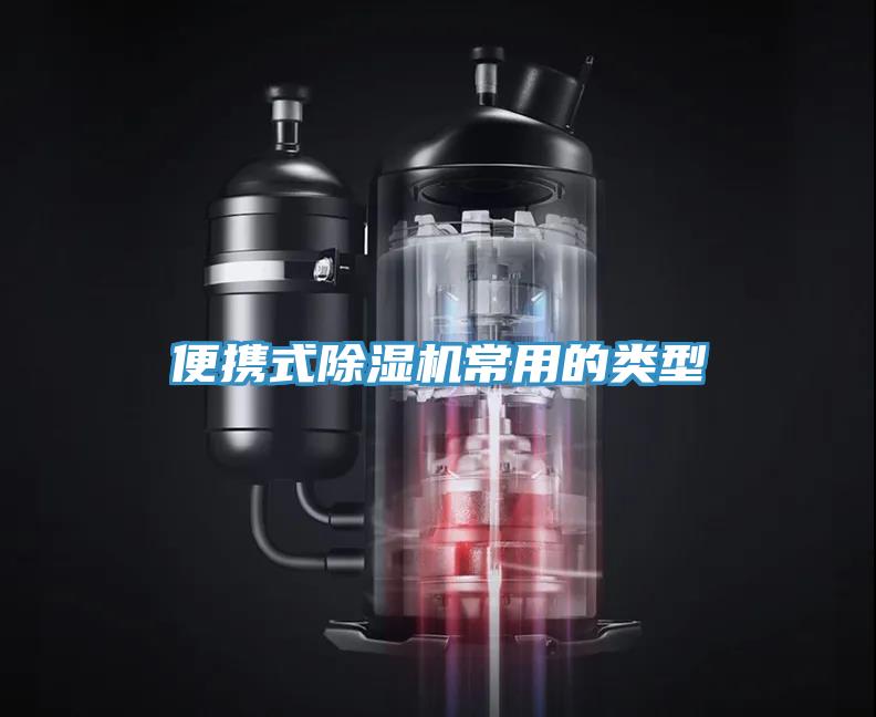 便携式猫咪成人官网常用的类型