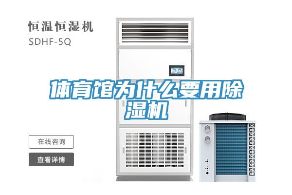 体育馆为什么要用猫咪成人官网