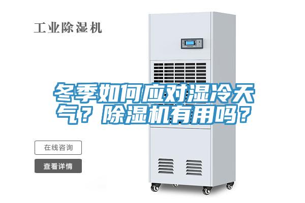冬季如何应对湿冷天气？猫咪成人官网有用吗？