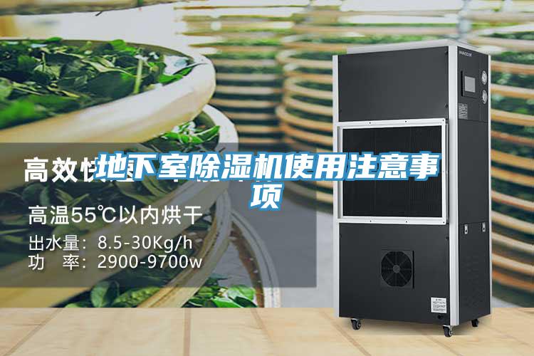 地下室猫咪成人官网使用注意事项