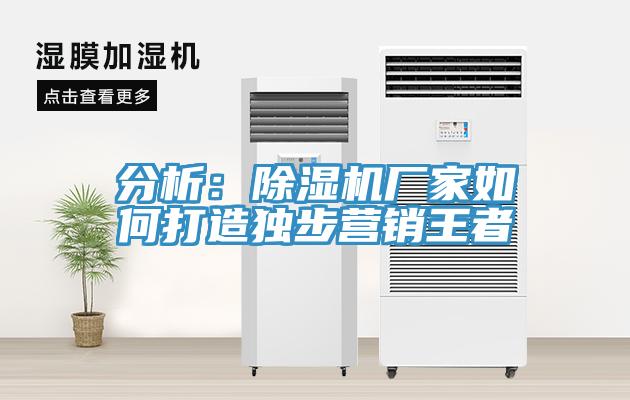 分析：猫咪成人官网厂家如何打造独步营销王者
