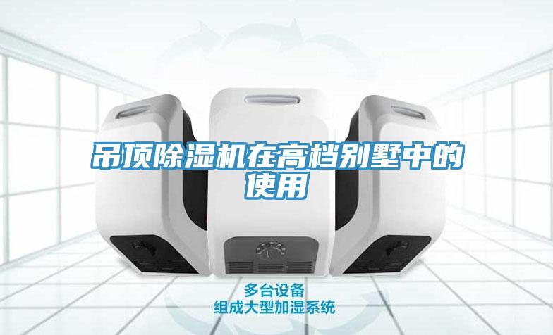 吊顶猫咪成人官网在高档别墅中的使用