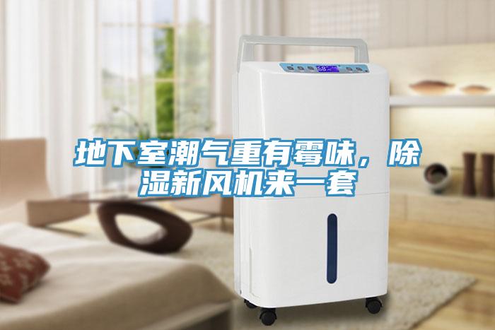 地下室潮气重有霉味，除湿新风机来一套