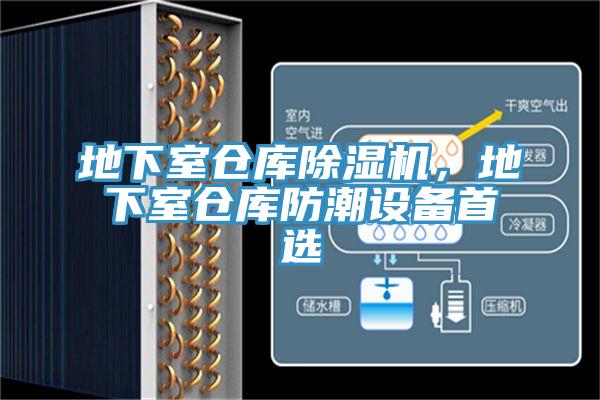 地下室仓库猫咪成人官网，地下室仓库防潮设备首选