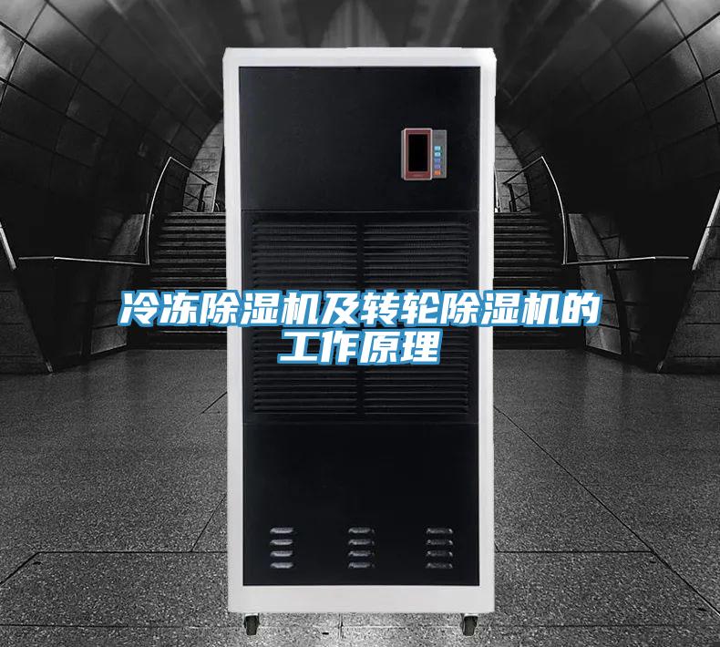 冷冻猫咪成人官网及转轮猫咪成人官网的工作原理
