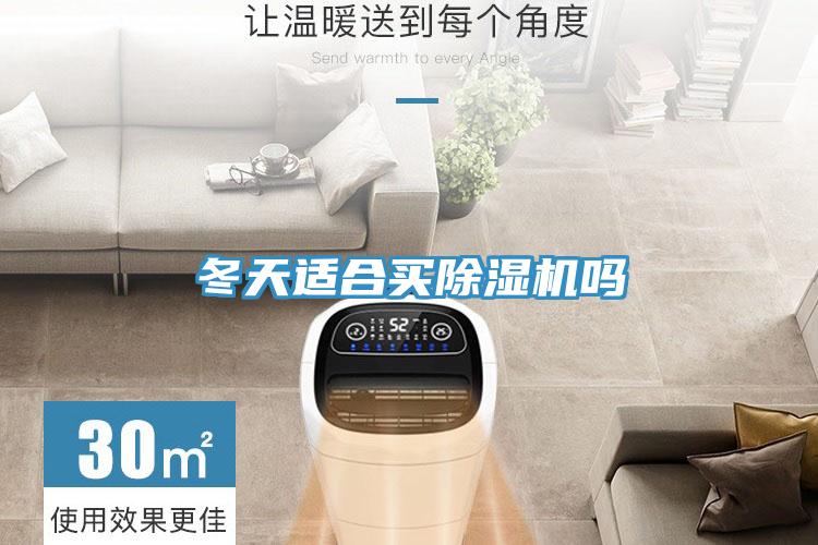 冬天适合买猫咪成人官网吗