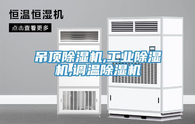 吊顶猫咪成人官网,工业猫咪成人官网,调温猫咪成人官网