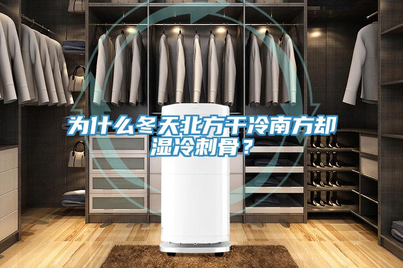 为什么冬天北方干冷南方却湿冷刺骨？