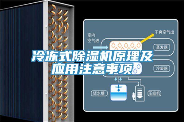 冷冻式猫咪成人官网原理及应用注意事项