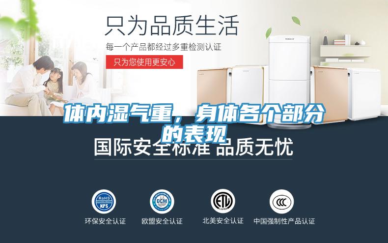 体内湿气重，身体各个部分的表现