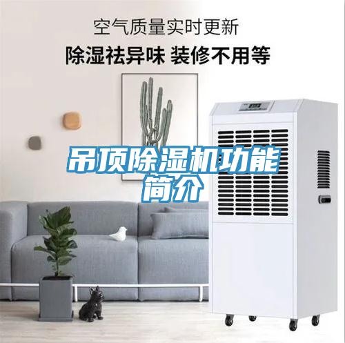 吊顶猫咪成人官网功能简介