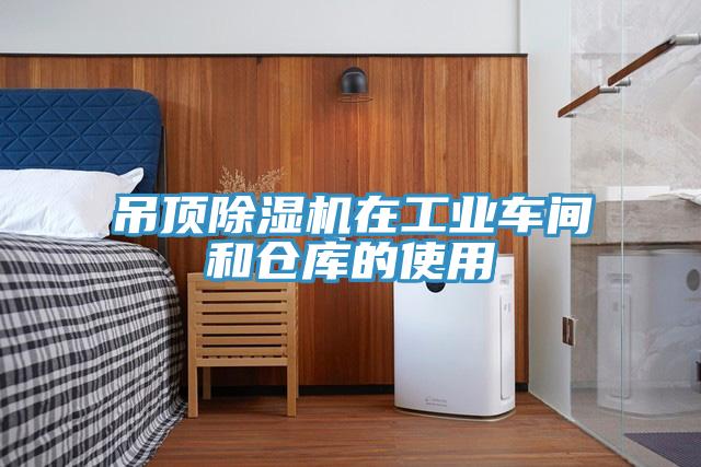 吊顶猫咪成人官网在工业车间和仓库的使用