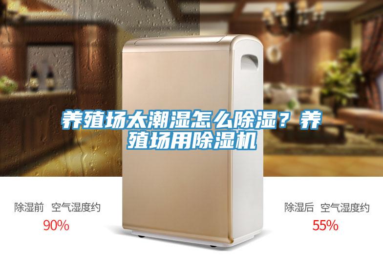 养殖场太潮湿怎么除湿？养殖场用猫咪成人官网