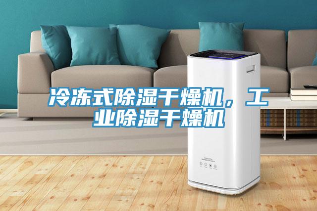 冷冻式除湿干燥机，工业除湿干燥机
