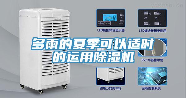 多雨的夏季可以适时的运用猫咪成人官网