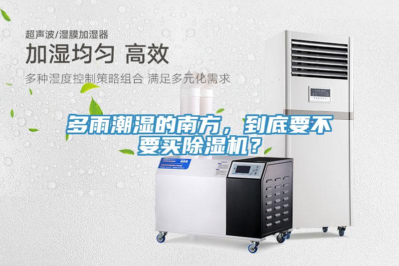 多雨潮湿的南方，到底要不要买猫咪成人官网？