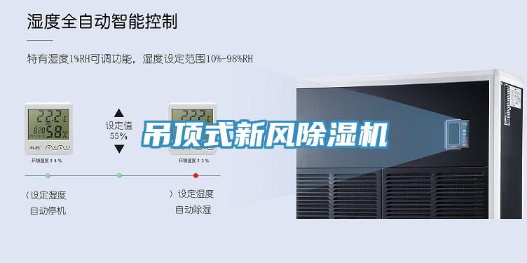 吊顶式新风猫咪成人官网