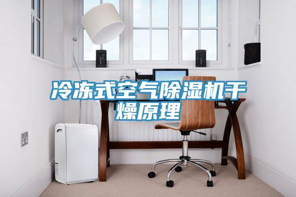 冷冻式空气猫咪成人官网干燥原理
