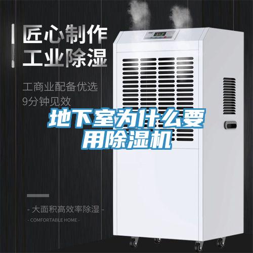 地下室为什么要用猫咪成人官网