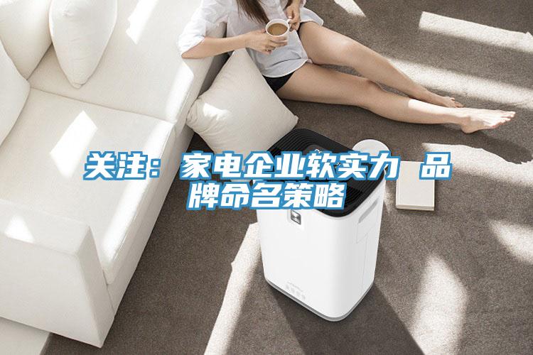 关注：家电企业软实力 品牌命名策略