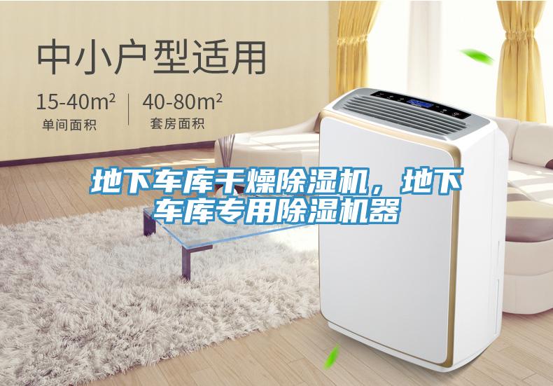 地下车库干燥猫咪成人官网，地下车库专用猫咪成人官网器